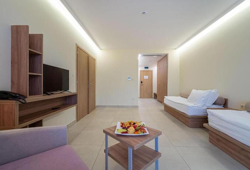 آپارتمان 1 خوابه, Belvedere Hotel   All Inclusive