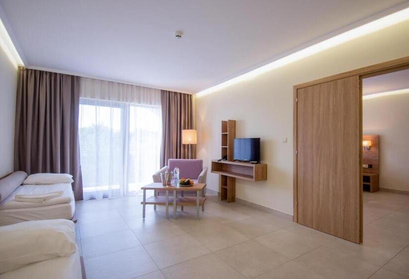 آپارتمان 1 خوابه, Belvedere Hotel   All Inclusive
