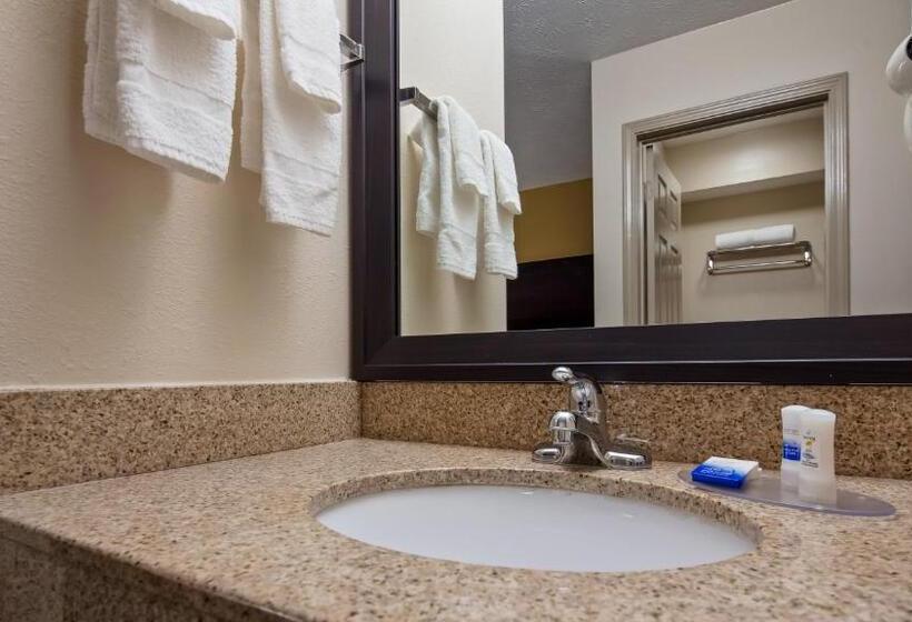 스탠다드 룸 킹사이즈 침대, Best Western Paris Inn