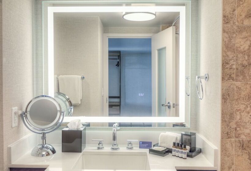 Номер Стандарт Двуспальная Кровать, Hyatt Regency Orlando International Airport