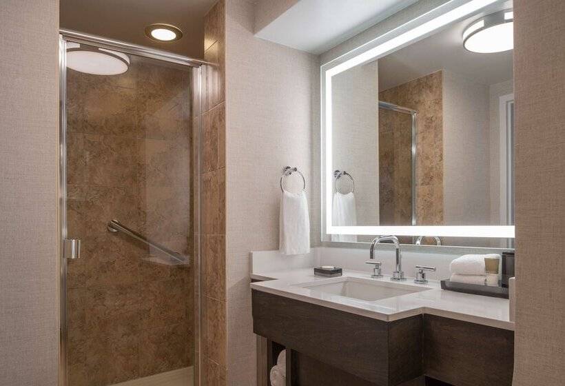 Люкс, Hyatt Regency Orlando International Airport