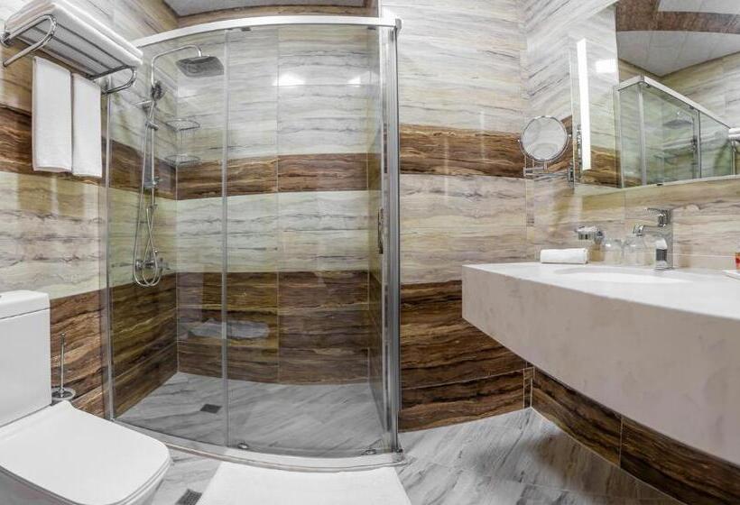 اتاق سوپریور با چشم‌انداز شهر, Golden City Hotel Baku