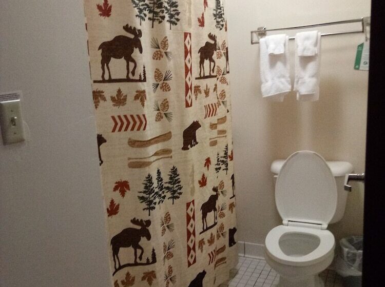 Quarto Estandar 2 Camas Casal, Kelly Inn West Yellowstone