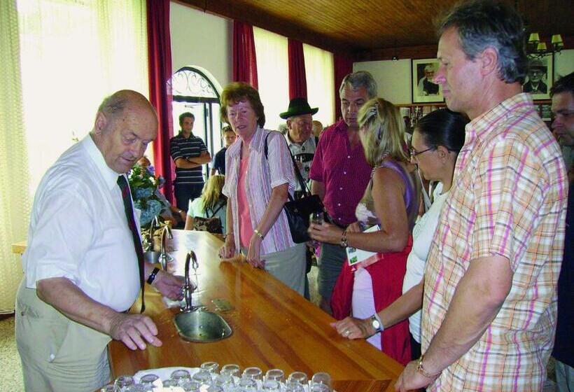 Номер Стандарт с Балконом, Drei Quellen Hotel Kipper