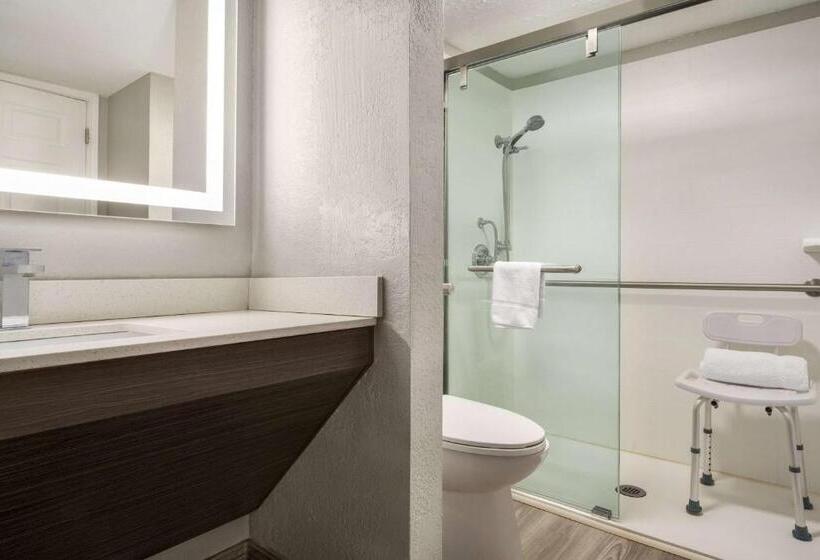 اتاق استاندارد با تخت بزرگ برای معلولان, La Quinta Inn Lexington Horse Park