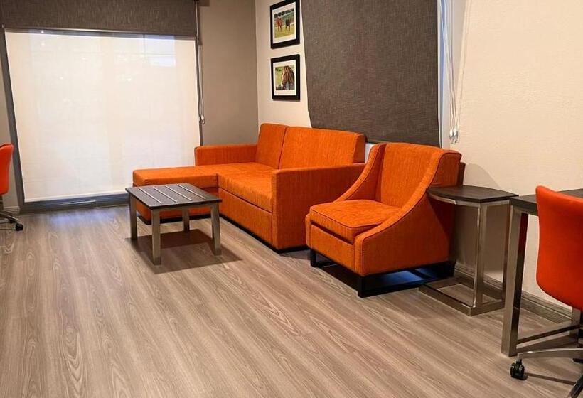 سوئیت با تخت بزرگ, La Quinta Inn Lexington Horse Park