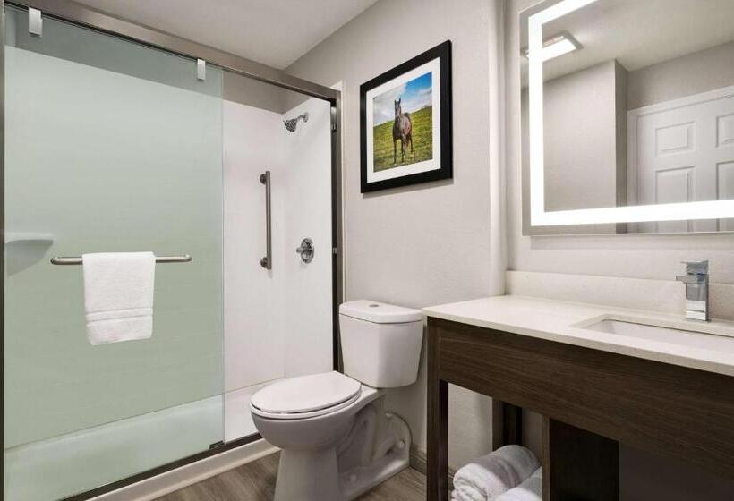 اتاق لوکس با تخت بزرگ, La Quinta Inn Lexington Horse Park
