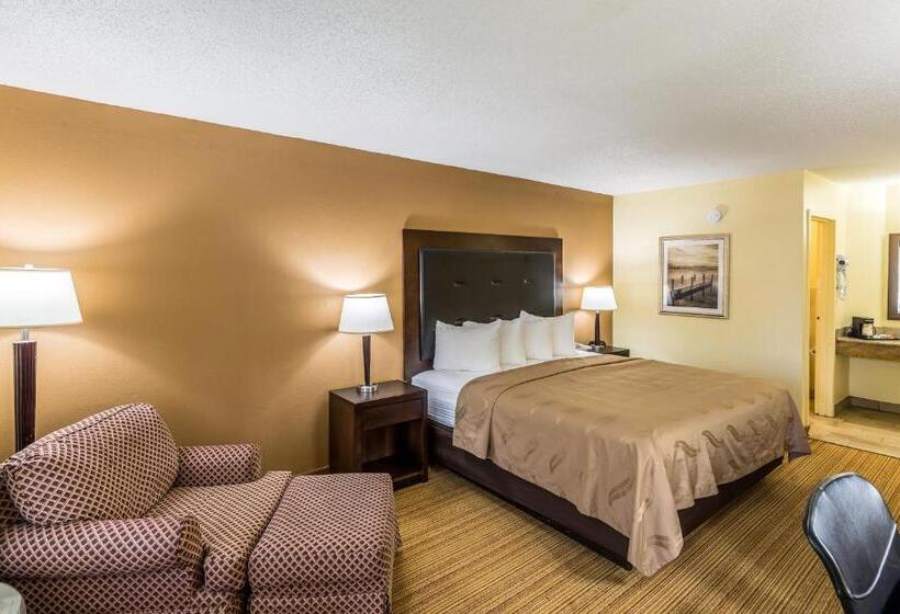 스탠다드 룸 킹사이즈 침대, Quality Inn Clemson Near University