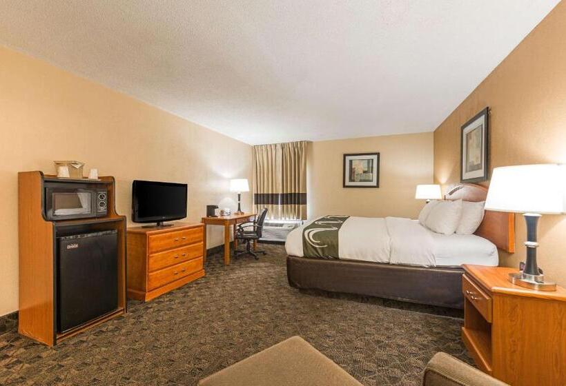 Стандартный Номер Кровать Кинг, Quality Inn & Suites