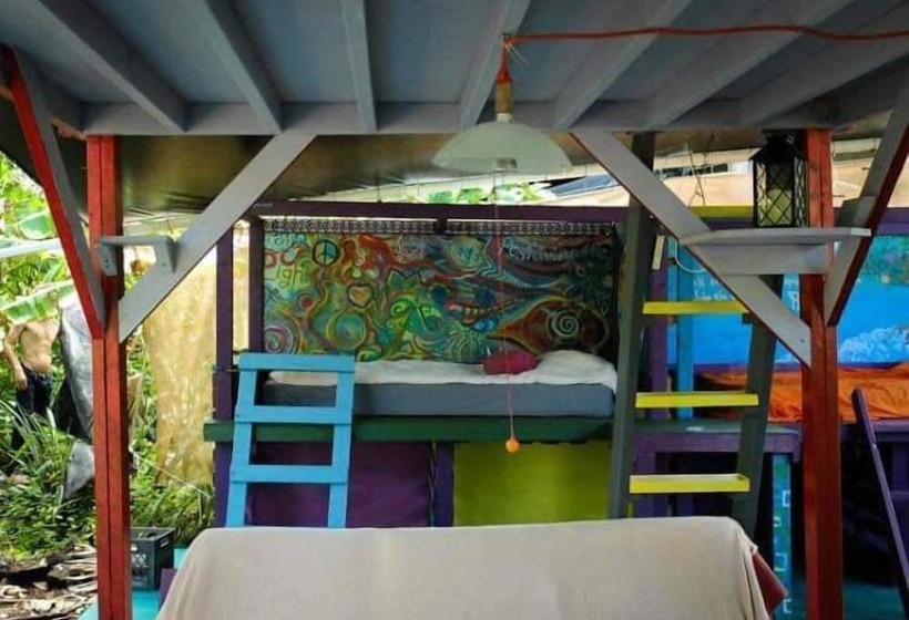 공동 객실, Cinderland Ecovillage   Hostel