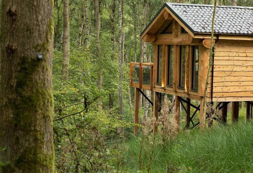 Дом 3 Спальни, Woodland Park Lodges
