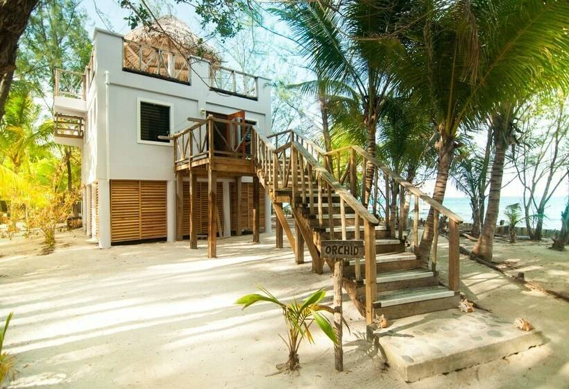 Хижина, Thatch Caye, A Muy Ono Resort