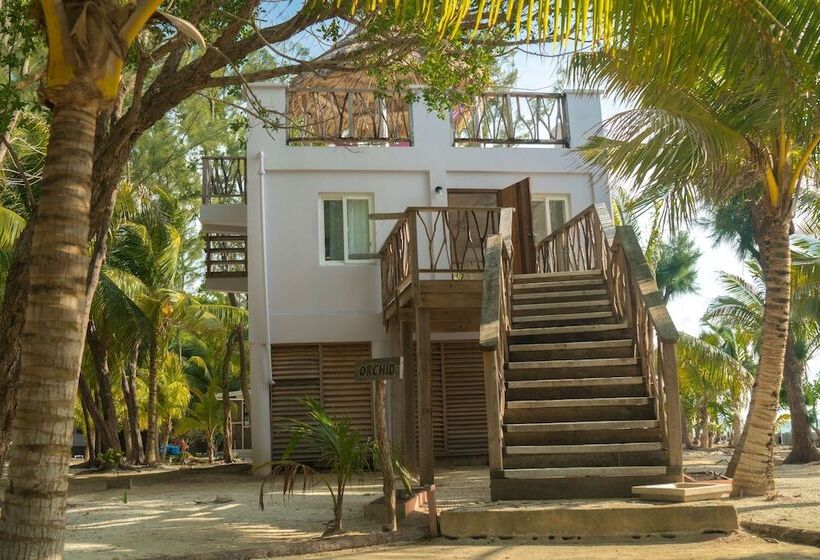 Хижина, Thatch Caye, A Muy Ono Resort