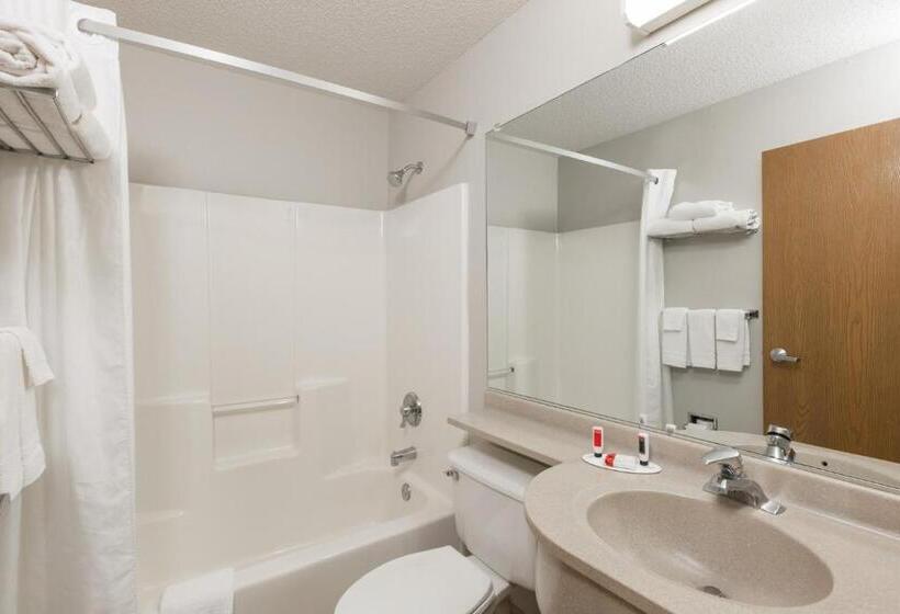 标准间, Microtel Inn & Suites By Wyndham Sioux Falls