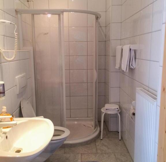 Suite with lake view, Schweizerhof Am See