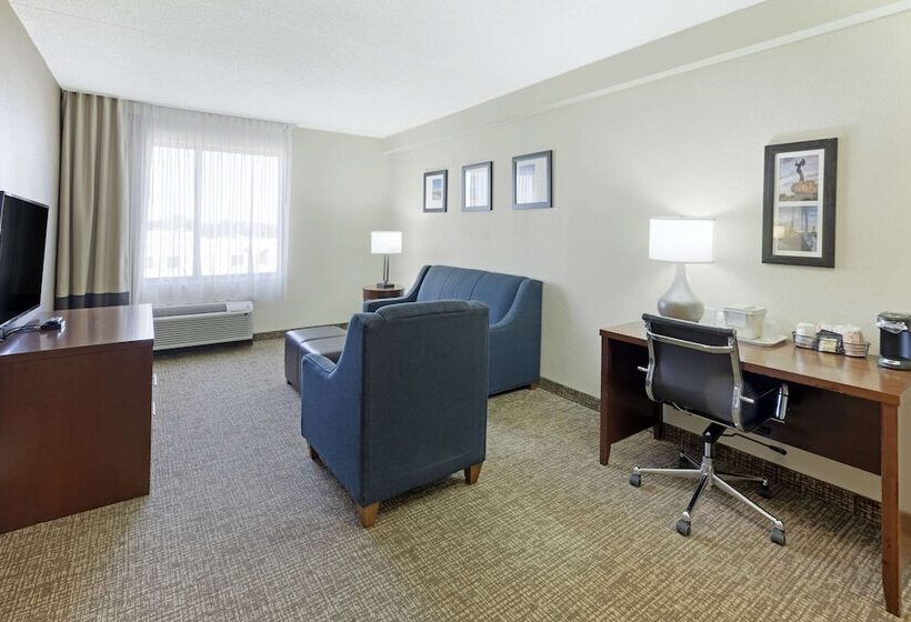 اتاق استاندارد با 2 تخت دوبل, Comfort Inn & Suites