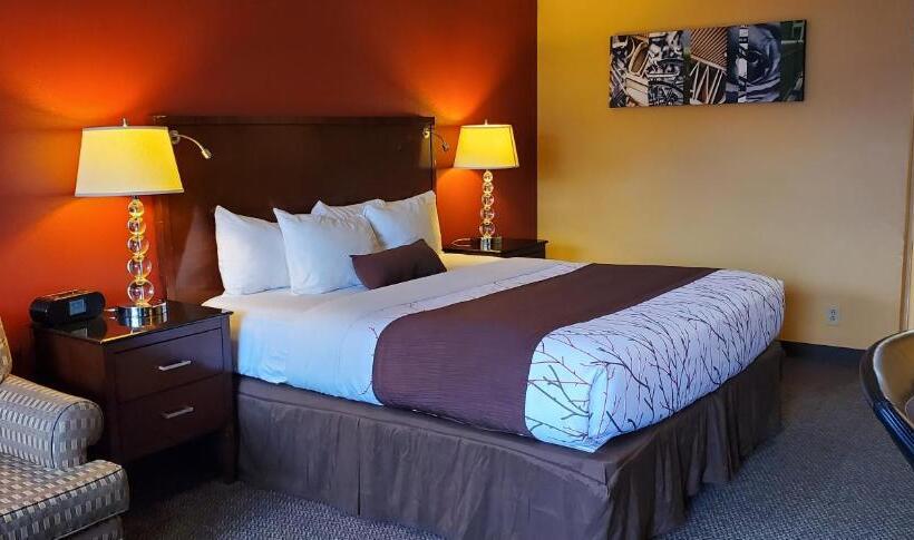 스탠다드 룸 킹사이즈 침대, Olympic Inn & Suites