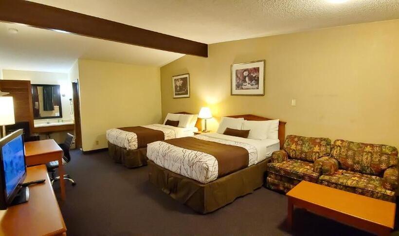 디럭스 룸, Olympic Inn & Suites