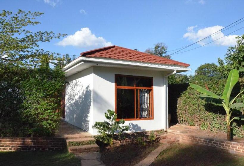 스탠다드 룸 가든 전망, Barazani Garden Villa