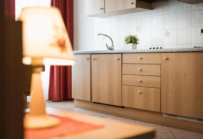 استودیوی سوپریور, Apparthotel Sellaronda