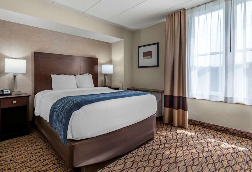 Люкс, Comfort Inn & Suites Glen Mills   West Chester
