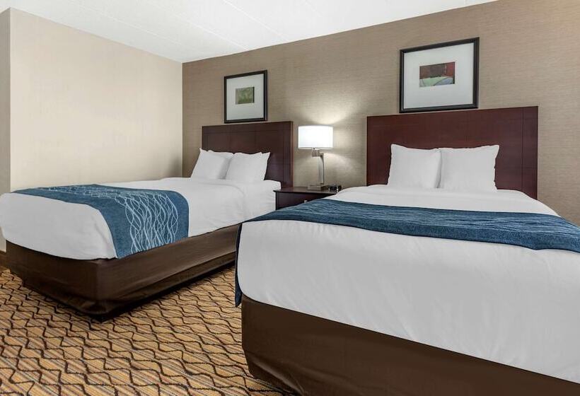 Номер Стандарт 2 Двуспальные Кровати, Comfort Inn & Suites Glen Mills   West Chester