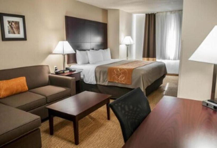 Люкс Адаптированный для Инвалидов, Comfort Suites North Albuquerque Balloon Fiesta Park