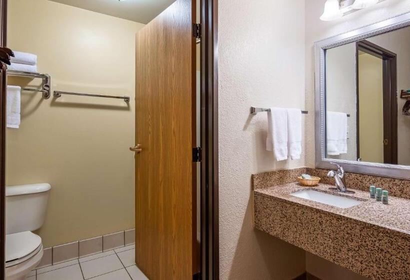 Номер Стандарт Кровать Квин Адаптированный для Инвалидов, Best Western B. R. Guest
