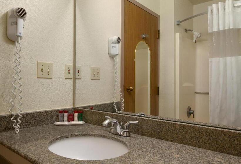 Стандартный Номер Кровать Кинг, Econo Lodge Whitehall Near Michigan S Adventure
