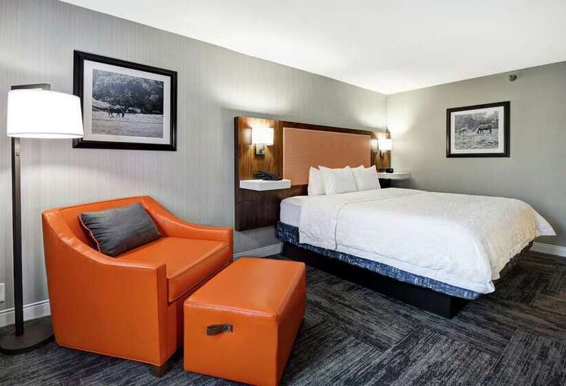带大床的标准间, Doubletree By Hilton Virginia Beach Oceanfront South