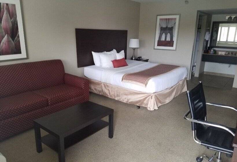 Люкс, Infinity Inn & Suites