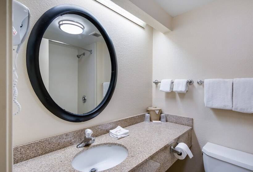 Номер Стандарт 2 Двуспальные Кровати, Red Roof Inn Laredo