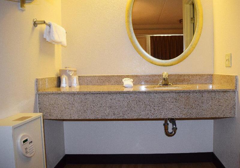 带大床的高级房间, Red Roof Inn Syracuse