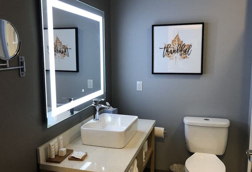 스위트, Radisson Hotel Atlanta Airport