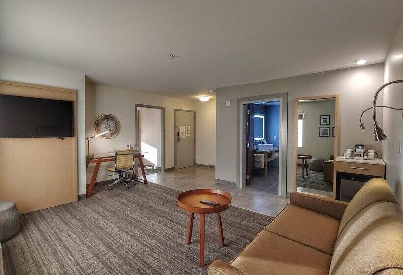 장애인을 위한 스위트, Radisson Hotel Atlanta Airport