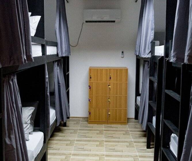 공동 객실, Crazy Bears Hostel