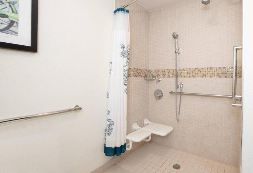 带大床的套房, Residence Inn By Marriott Jacksonville Butler Boulevard