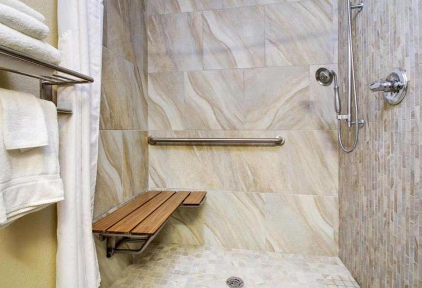 장애인을 위한 킹사이즈 침대 스탠다드 룸, Best Western Eagles Inn