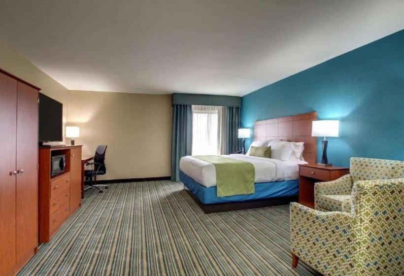 스탠다드 룸 킹사이즈 침대, Best Western Eagles Inn