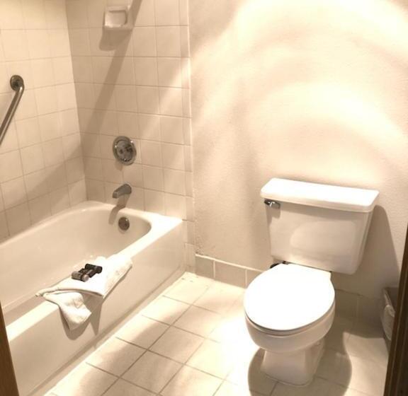 Стандартный Номер Кровать Кинг, Shilo Inn Mammoth Lakes