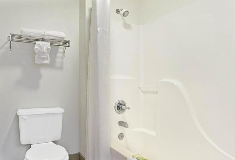 스탠다드 룸 킹사이즈 침대, Super 8 By Wyndham Tucson/grant Road Area Az