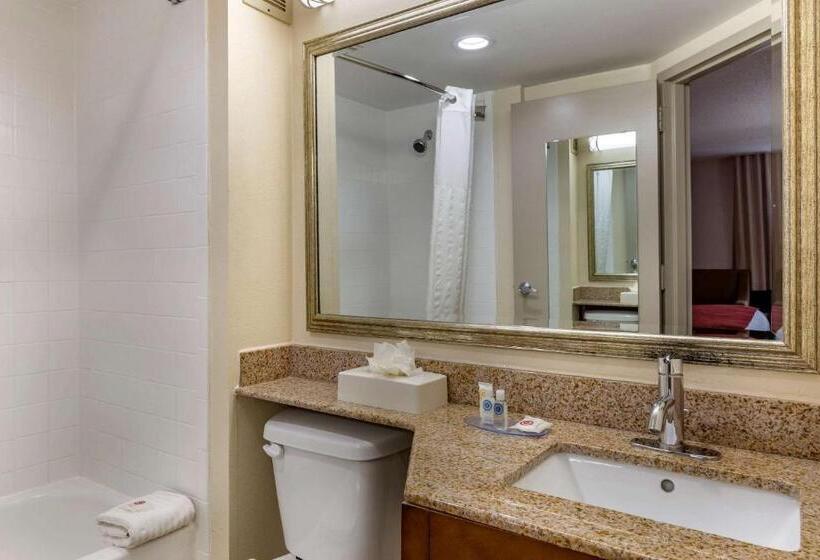 带大床的标准间, Comfort Inn Greensboro  Kernersville