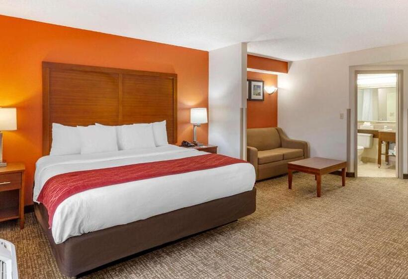 带大床的套房, Comfort Inn Greensboro  Kernersville