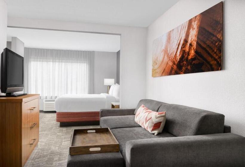 إستوديو قياسى سرير كينج, Springhill Suites Providence West Warwick