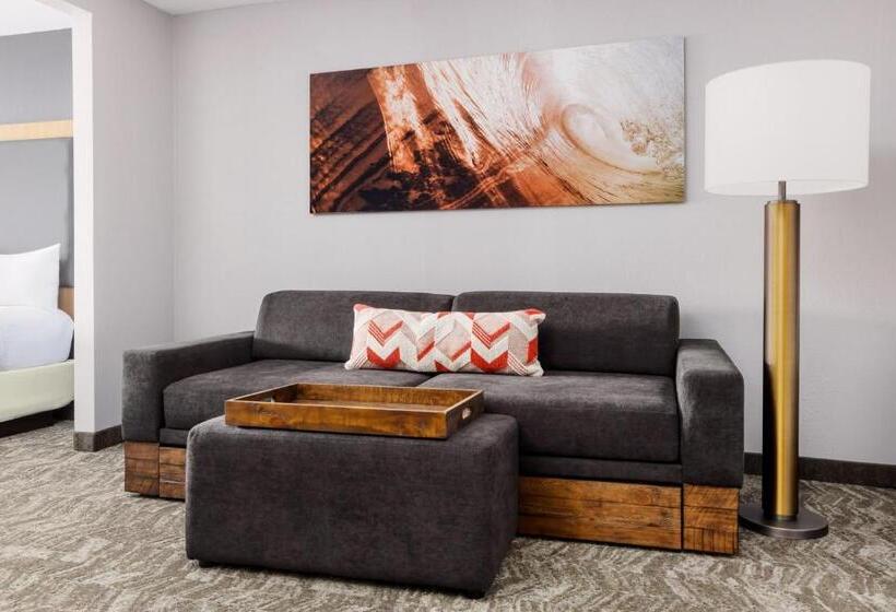 Студио Стандарт Кровать Кинг, Springhill Suites Providence West Warwick