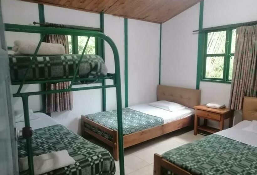 Bungalow Estandar 2 Quartos, Mega