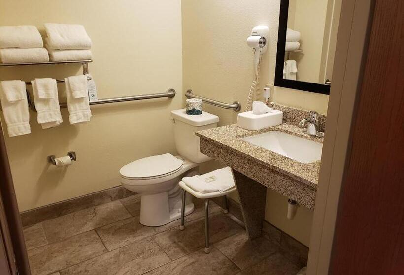 Четырехместный Номер Стандарт, Cobblestone Inn & Suites  Merrill