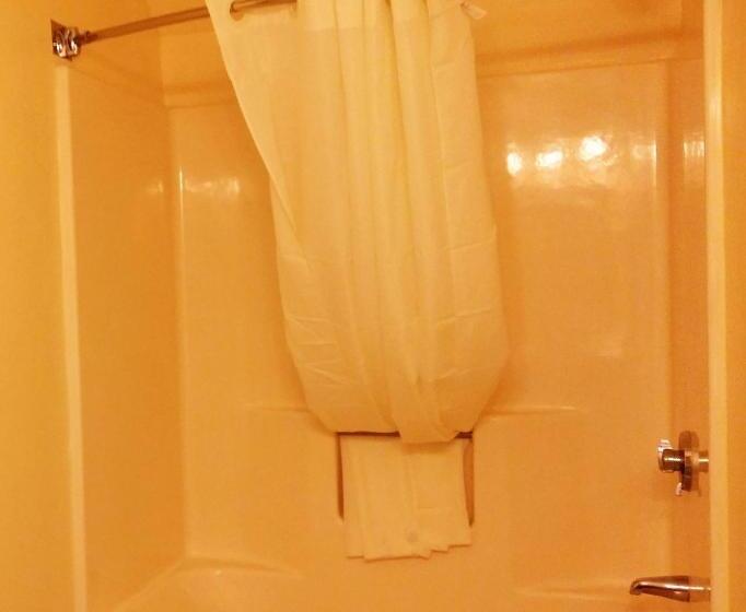 اتاق لوکس با تخت بزرگ, Enfield Inn