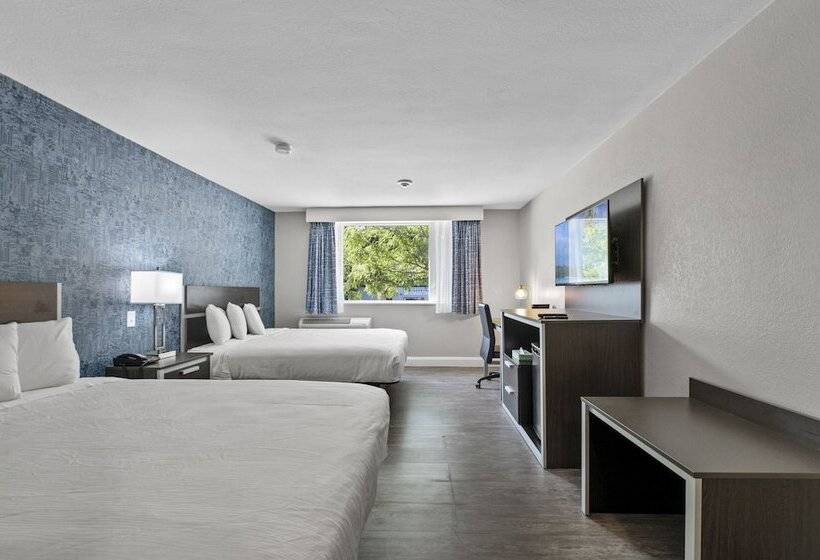 Номер Стандарт, Inn On Arsenal
