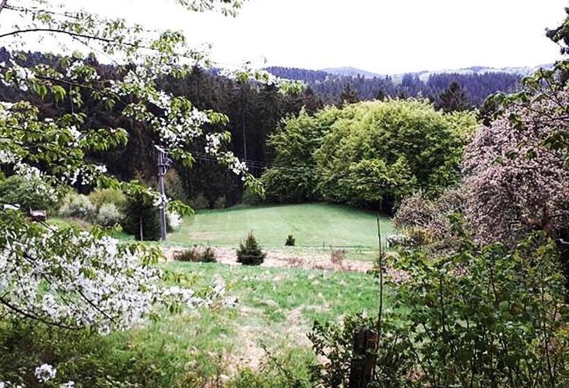 Номер Стандарт, Green Corner Nürburg